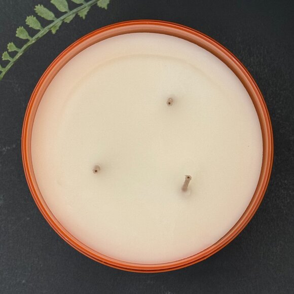 BBW Iced Dragonfruit Tea Bath & Body Works 3 Wick Candle - Picture 7 of 10